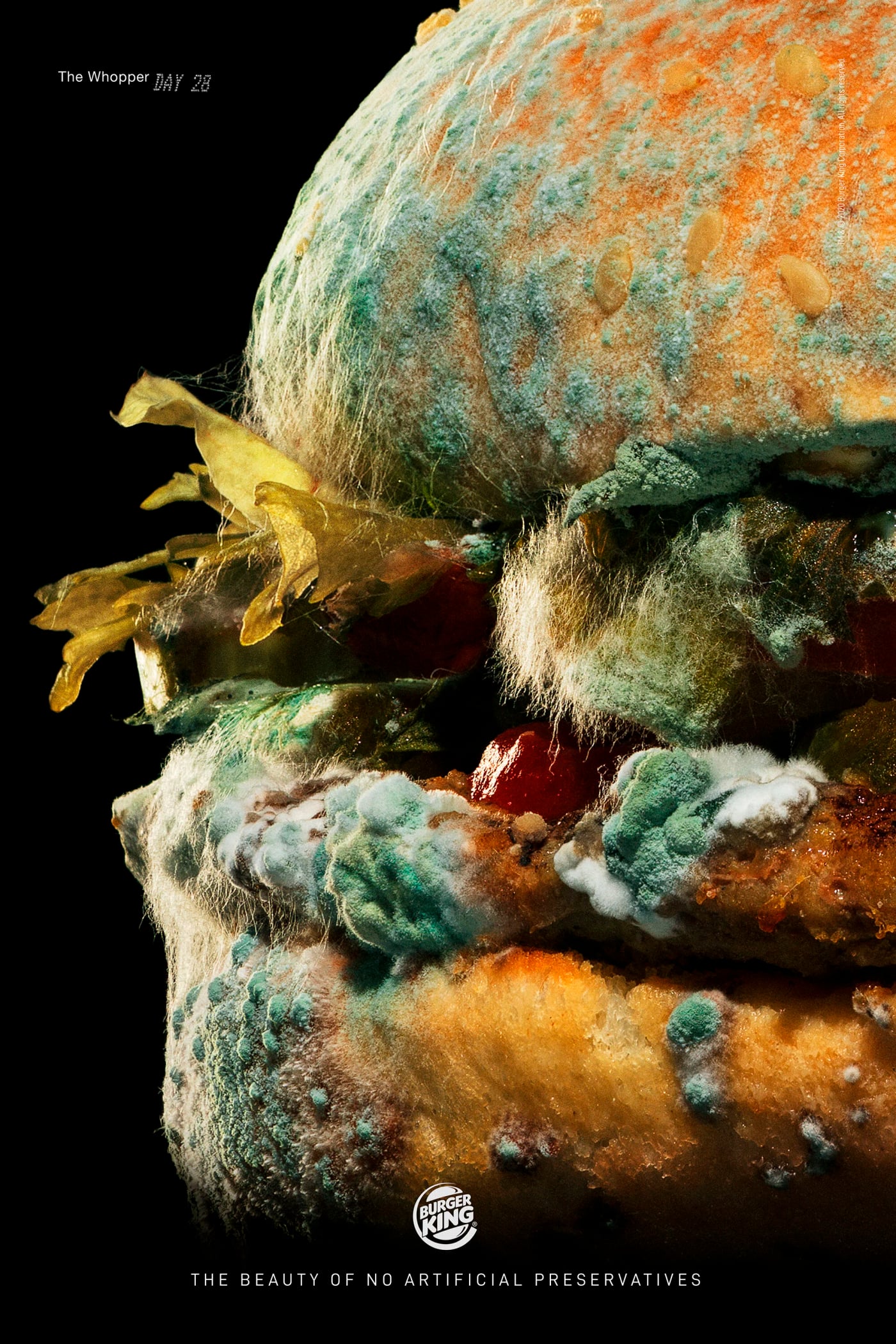 Burger King: The Moldy Whopper